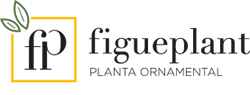 Figueplant